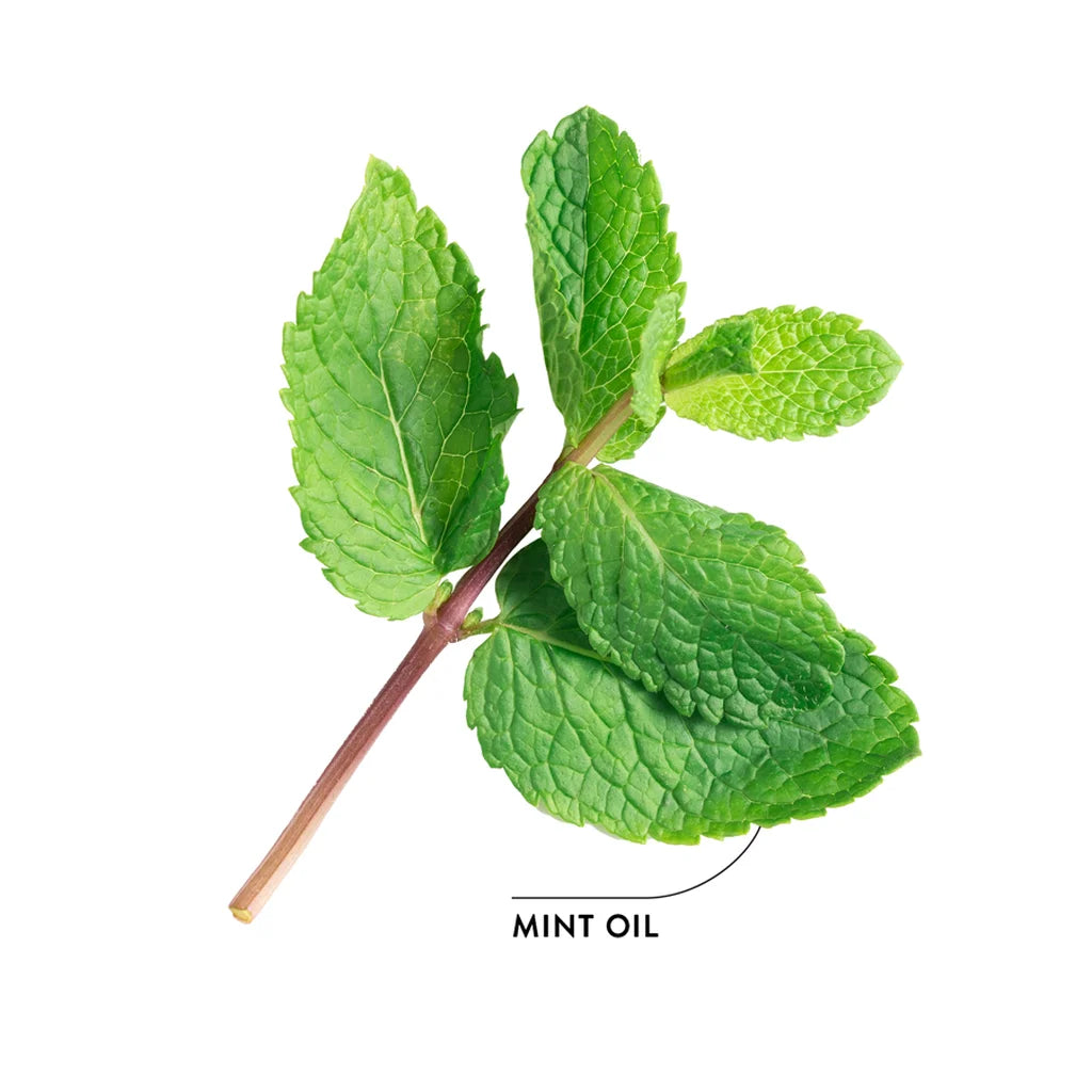 ECODENTA Whitening Mondwater met houtskool